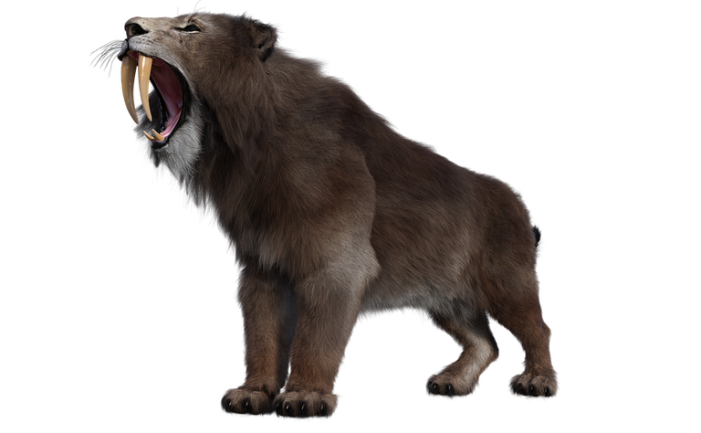 smilodon-7540042_960_720.png