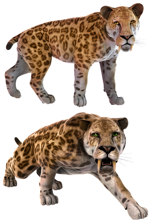 smilodon-3377818_960_720.png