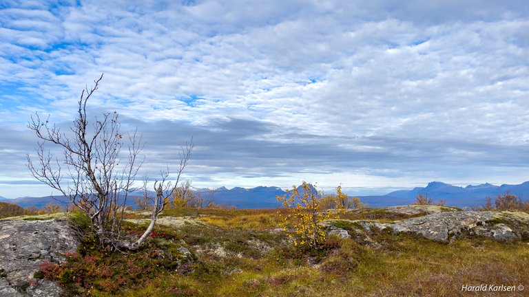 Høstfjell-10.jpg