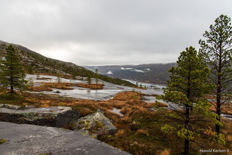 Lakselvvannet-15.jpg