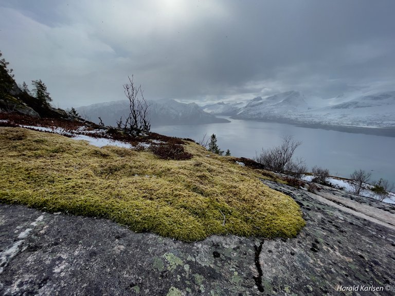 Efjord-2.jpg