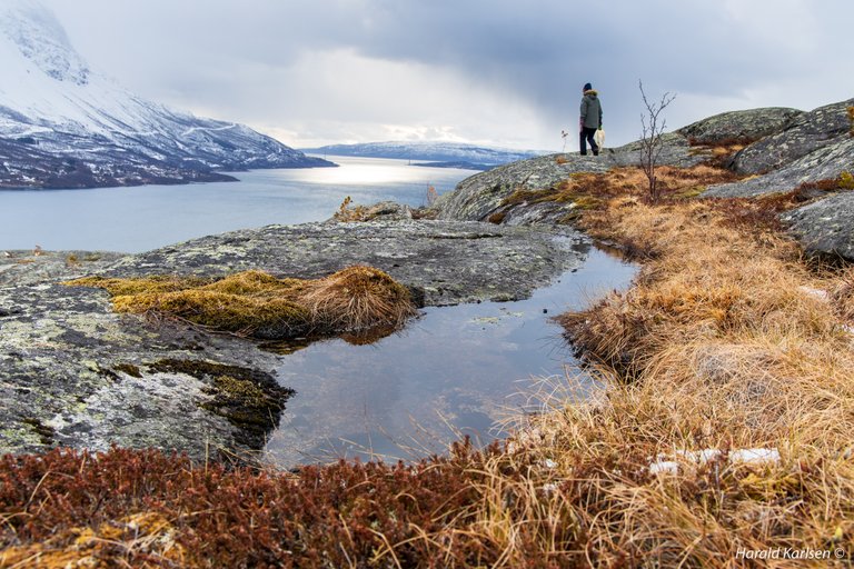 Olbogfjellet13.jpg