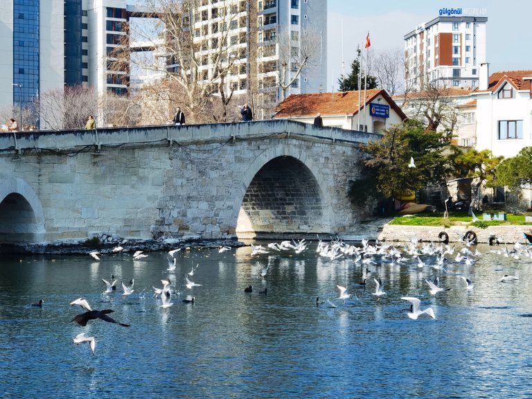 IMG_20250308_140316.jpg