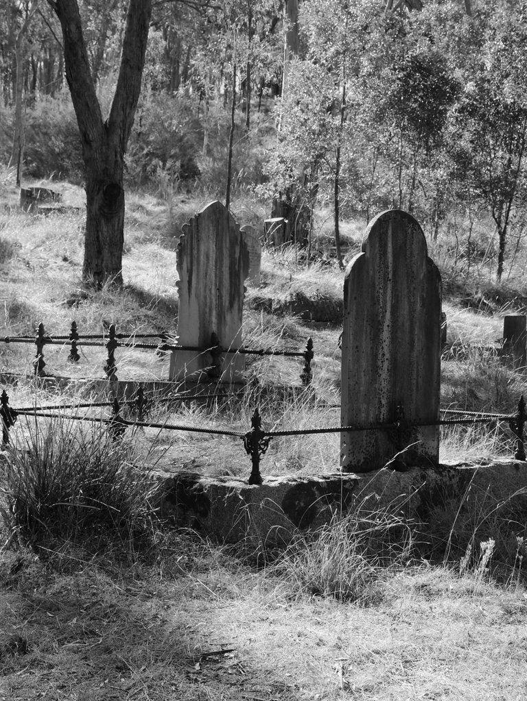 Queenstown Cemetary 1.jpg