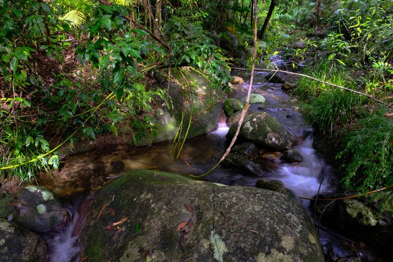 Mossman Gorge 5.jpg