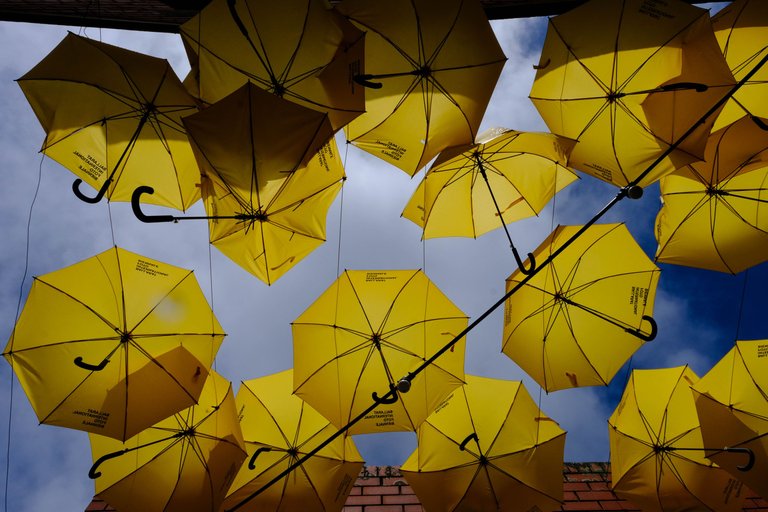 Umbrella3 (1 of 1).jpg