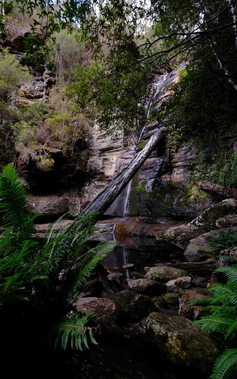 Snug Falls 2 (1 of 1).jpg