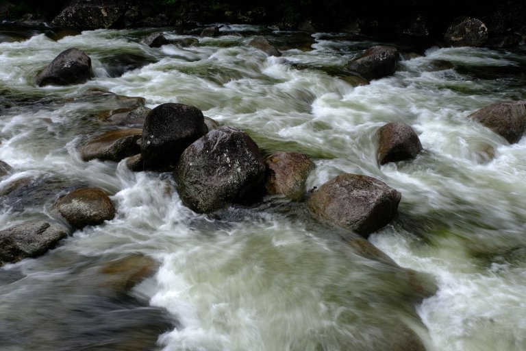 Mossman Gorge 3.jpg