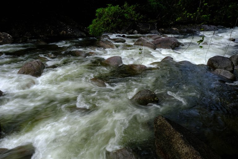 Mossman Gorge 4.jpg