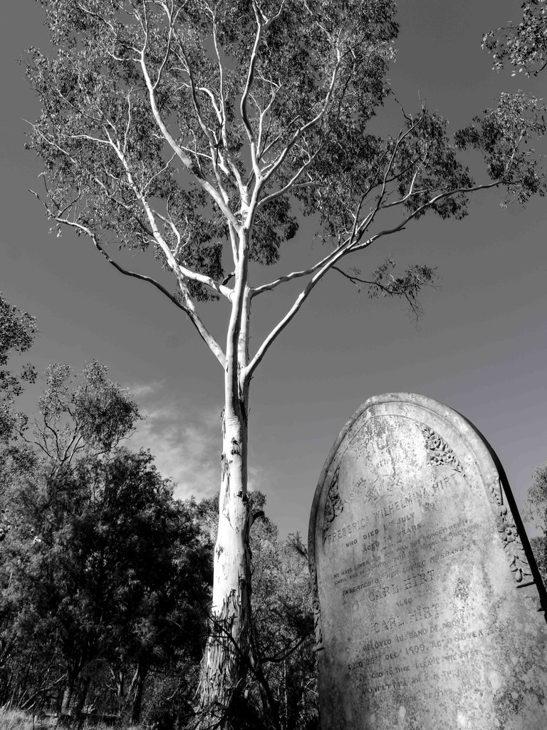 Queenstown Cemetary 4.jpg