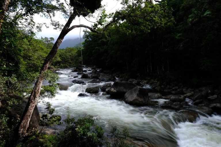 Mossman Gorge 1.jpg