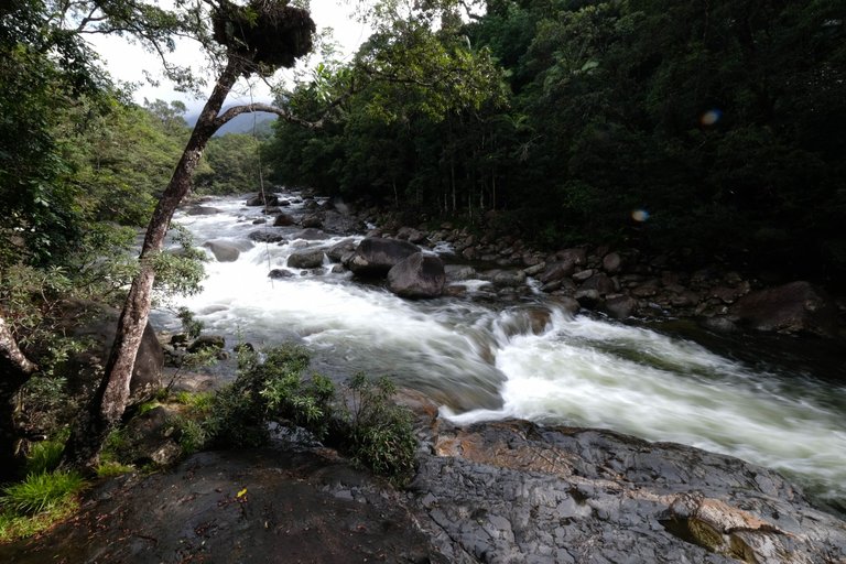 Mossman Gorge 6.jpg