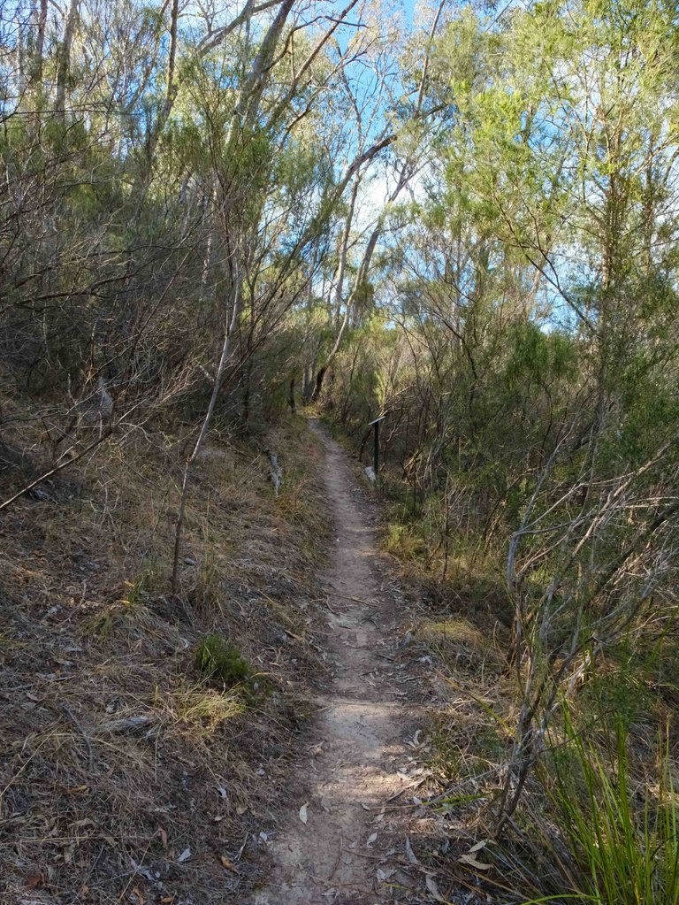 The Trail 4.jpg