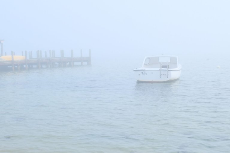 Foggy Morning - Sorrento 4.jpg