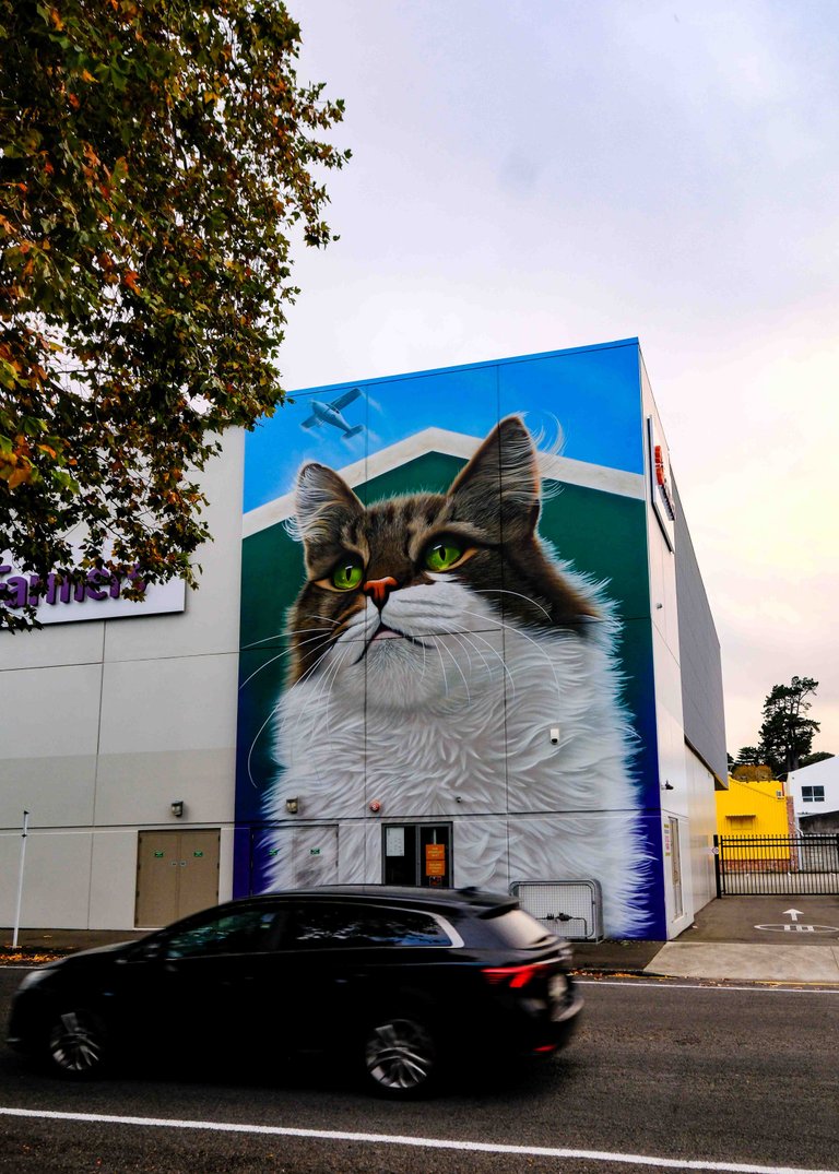 Whanganui art 7.jpg