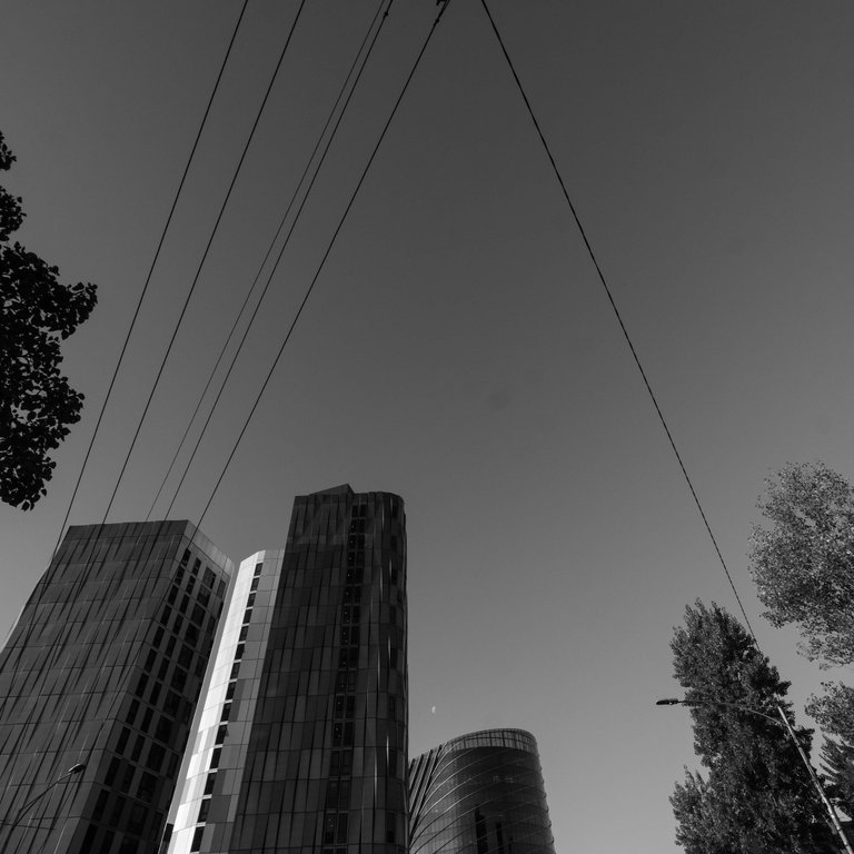 Mono the Lines.jpg