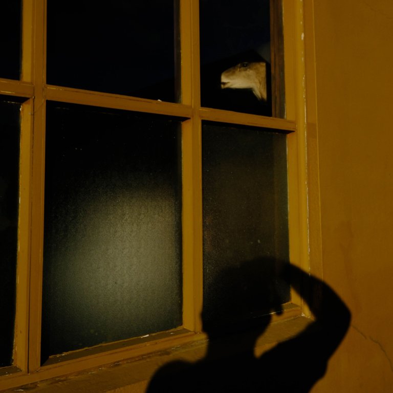 Self portrait with Deer.jpg