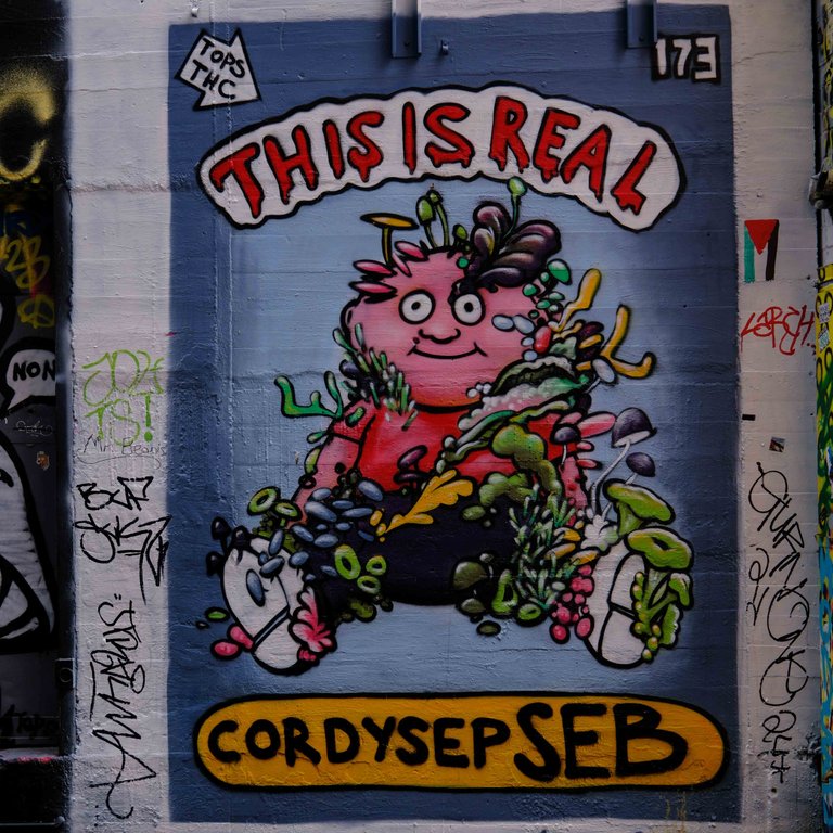 Hobart Street art 4 (1 of 1).jpg