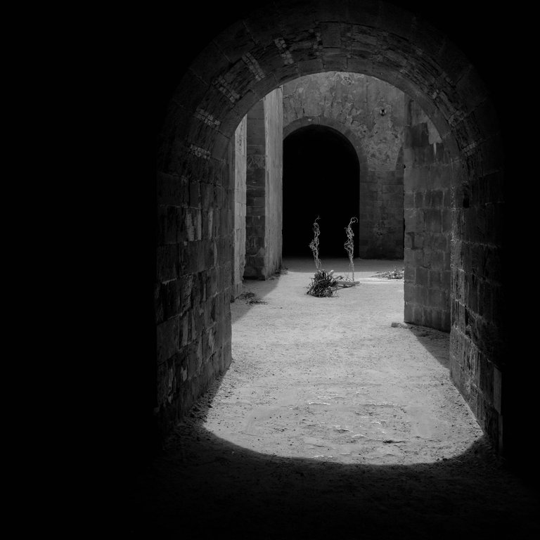 PhotoCuration #574