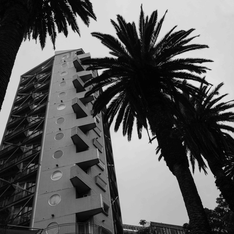 Auckland Grey 2.jpg