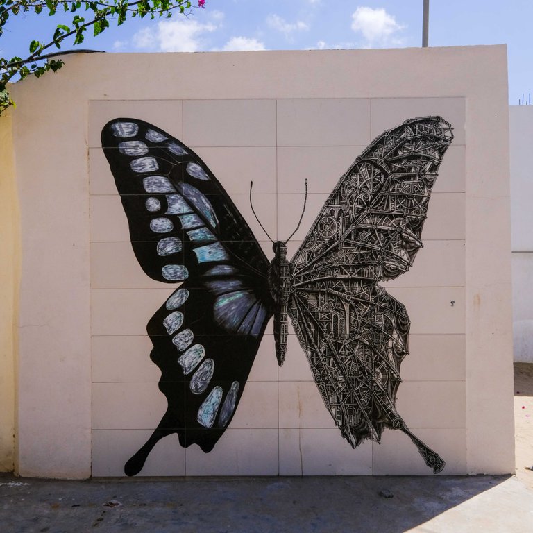 Art - Butterfly.jpg