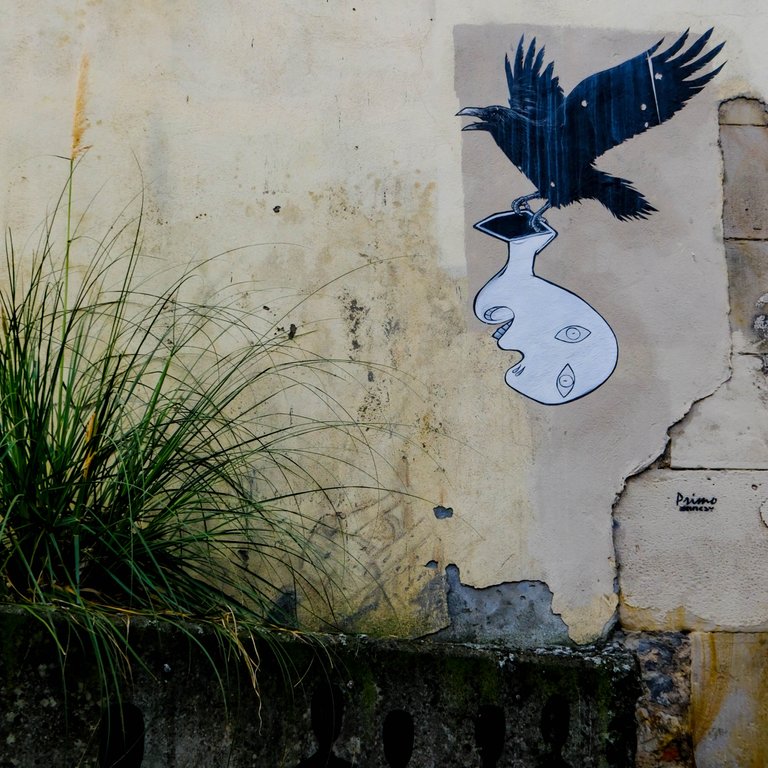 Street Art Crow (1 of 1).jpg