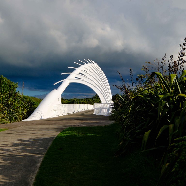 Te Rewa Rewa Bridge 1.jpg