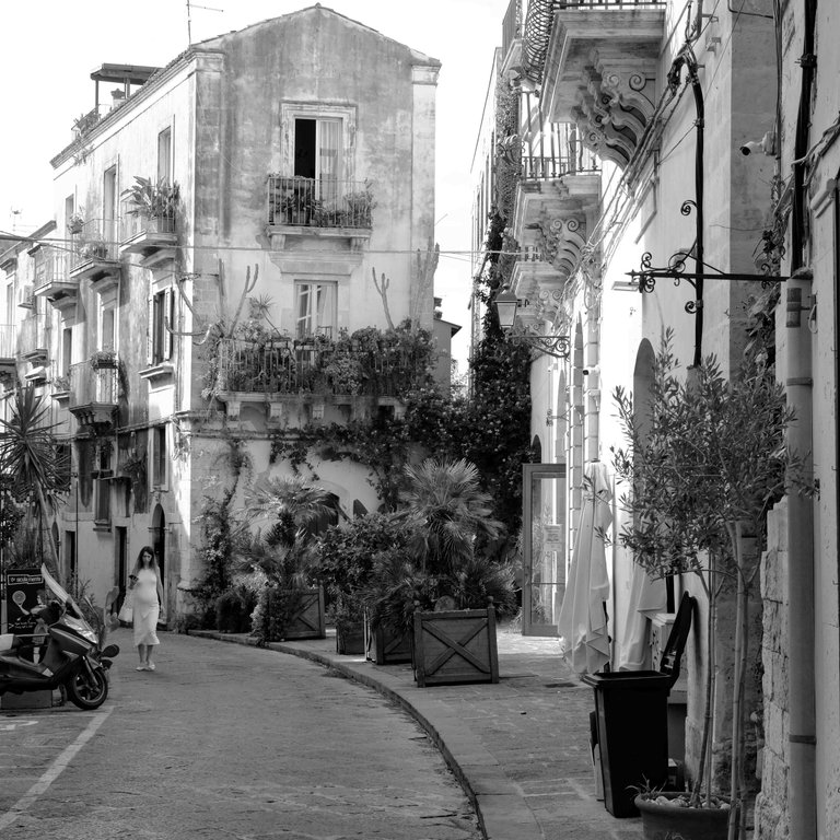 Street Scene.jpg