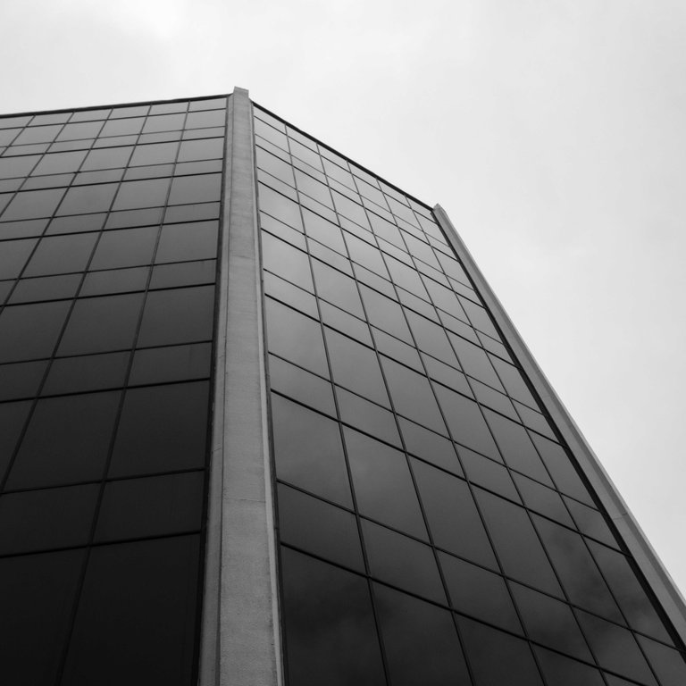 Auckland Grey 1.jpg