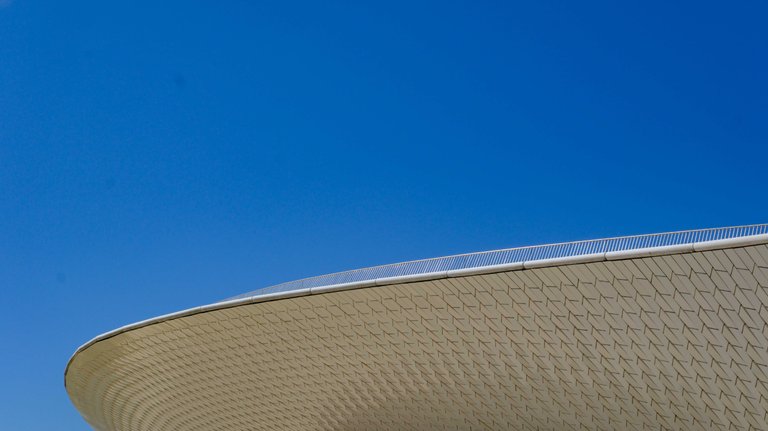 MAAT1 (1 of 1).jpg