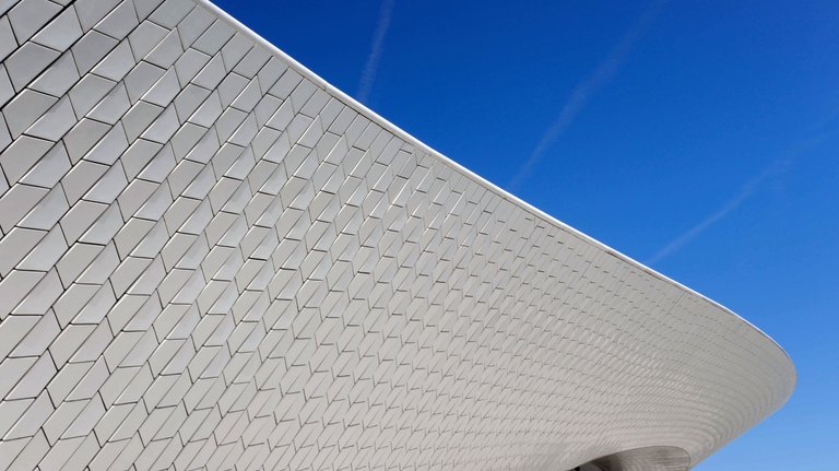 MAAT5 (1 of 1).jpg