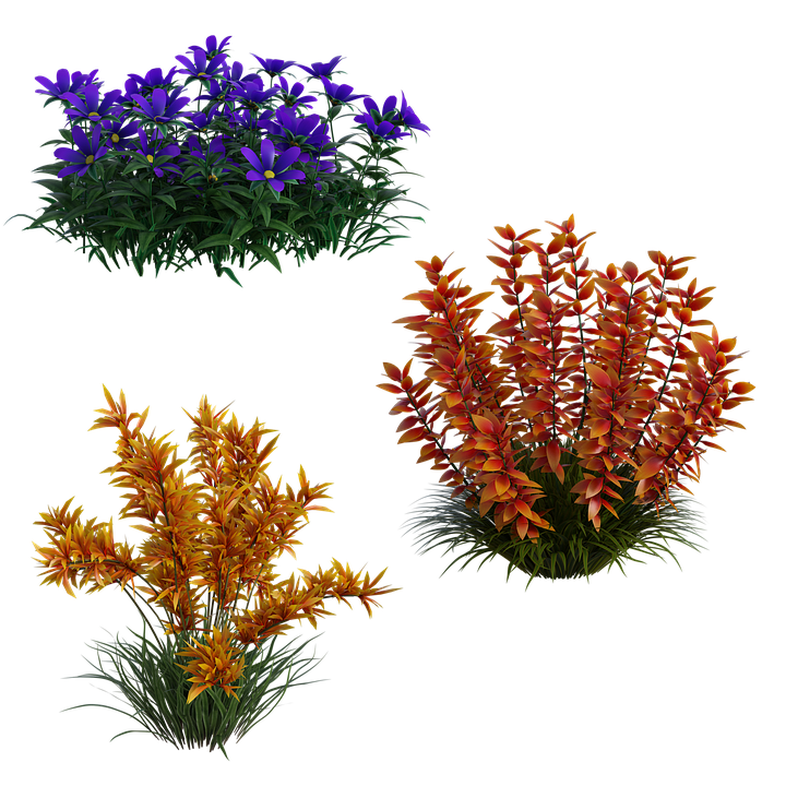 flowers-4757261_960_720.png