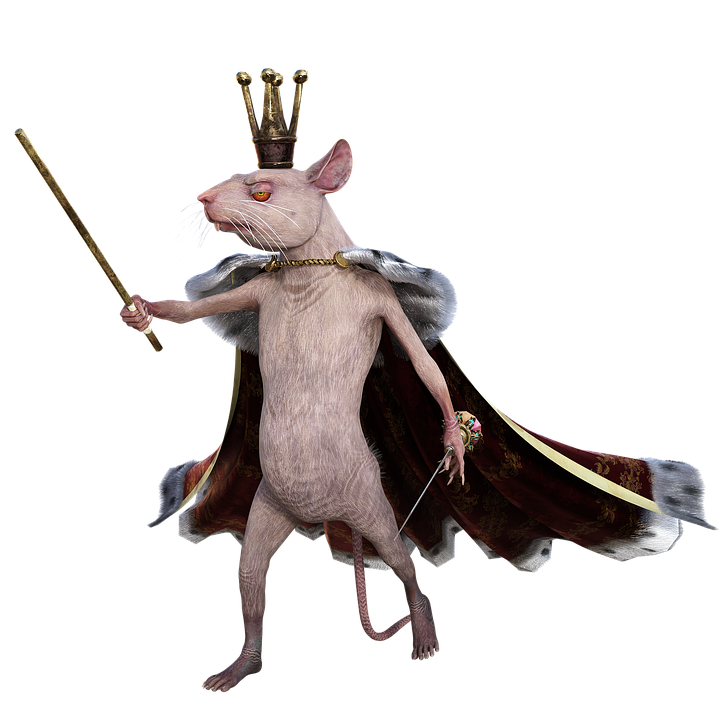 mouse-6865855_960_720.png