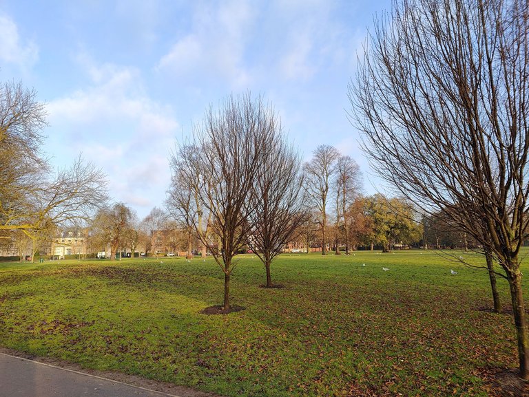 IMG20220126093409.jpg