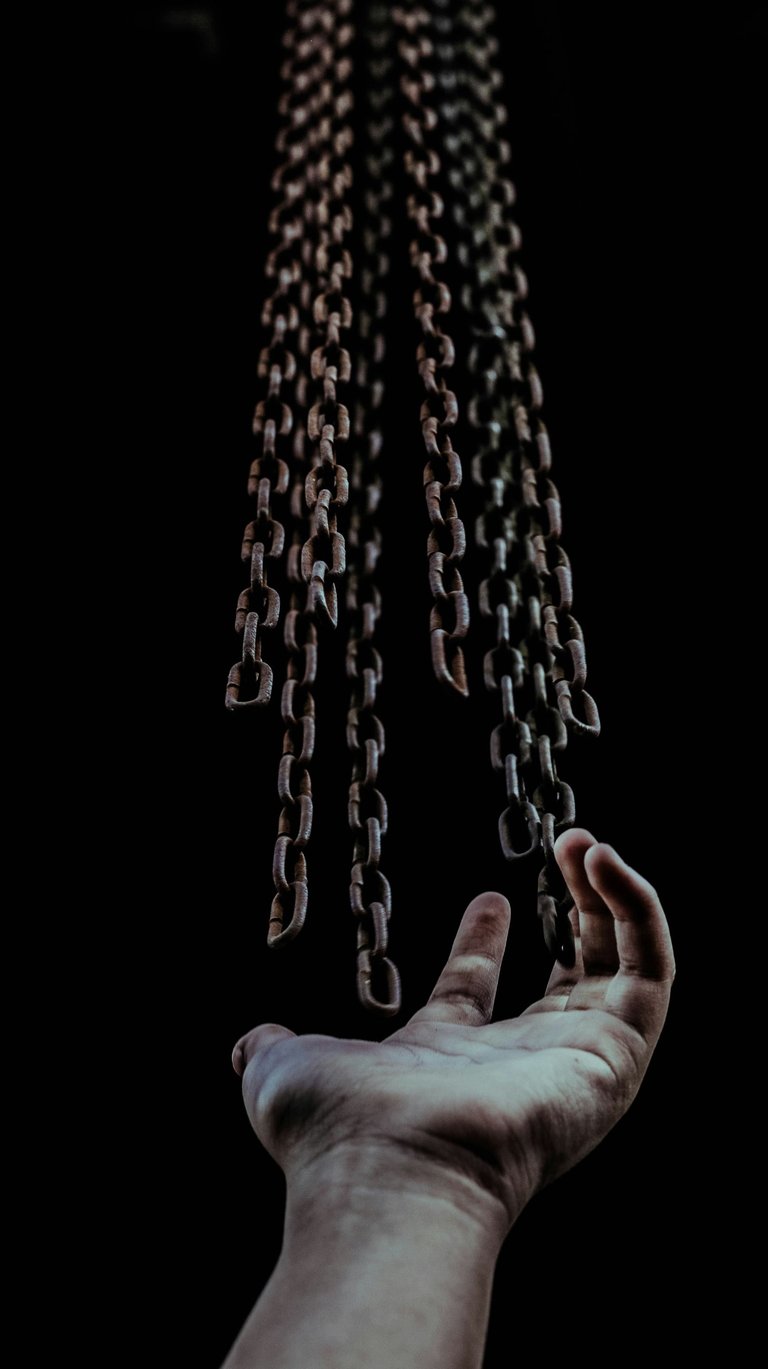1000170791.jpg