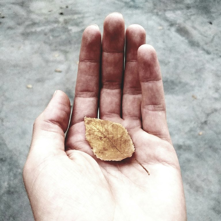 mohammad-beykzadeh-pqmEsheVgqw-unsplash.jpg