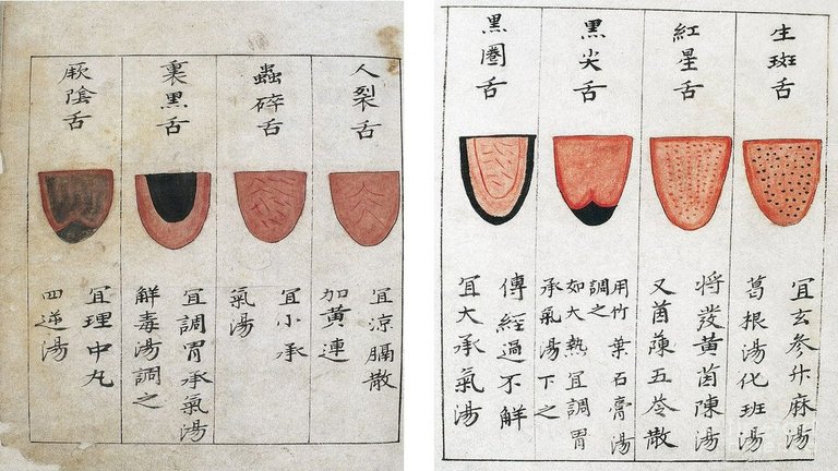 Tongue Charts.jpg