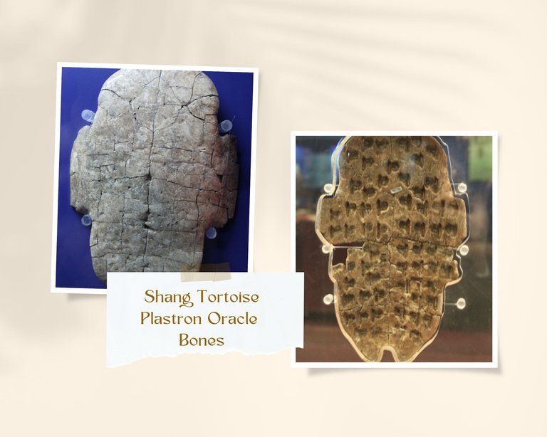 Oracle Bones.jpg