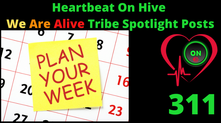 Heartbeat On Hive spotlight post311.png