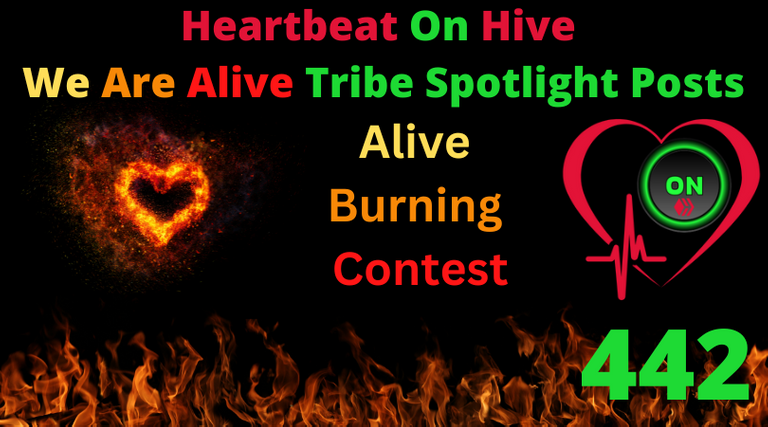 Heartbeat On Hive spotlight post442.png