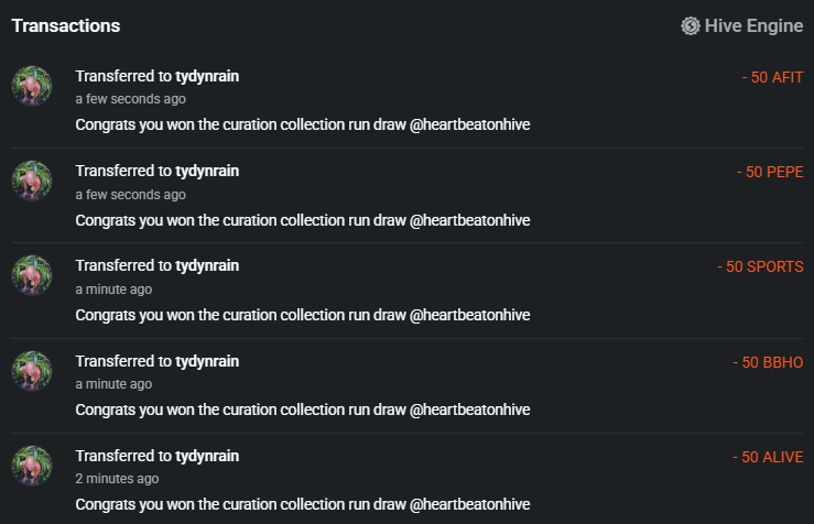 curationcollectionrunwinnertydynrain300725.PNG
