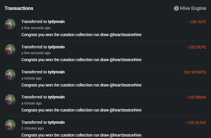 curationcollectionrunwinnertydynrain010825.PNG