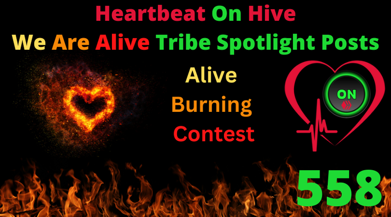 Heartbeat On Hive spotlight post558.png