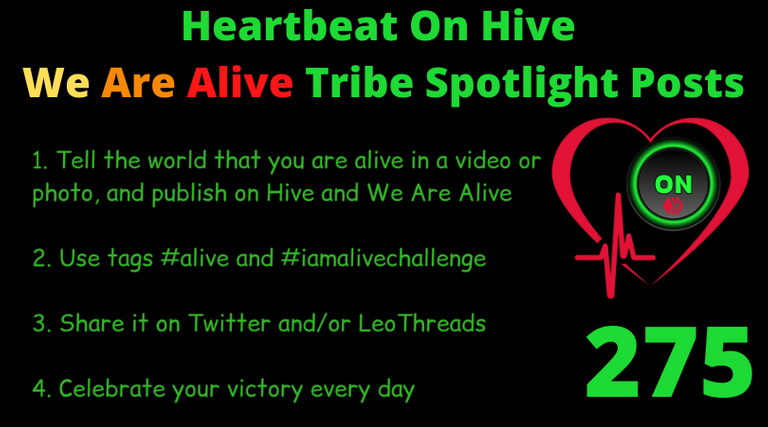 Heartbeat On Hive spotlight post275.png
