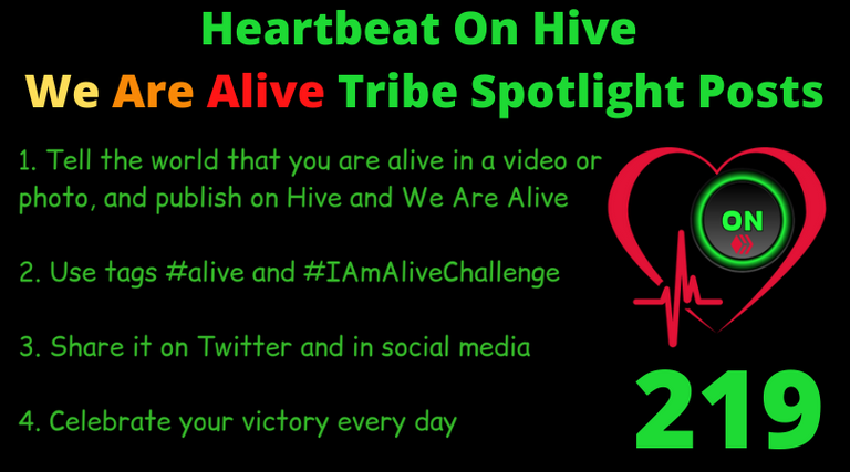 Heartbeat On Hive spotlight post219.png