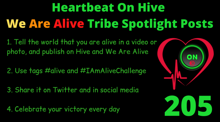 Heartbeat On Hive spotlight post205.png