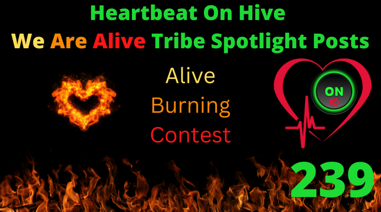 Heartbeat On Hive spotlight post239.png