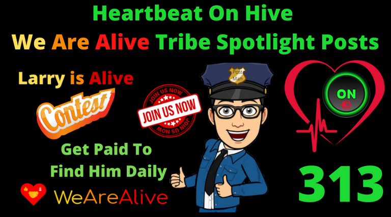 Heartbeat On Hive spotlight post313.png