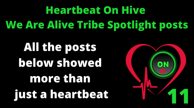 Heartbeat On Hive spotlight posts11.png