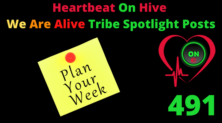 Heartbeat On Hive spotlight post491.png